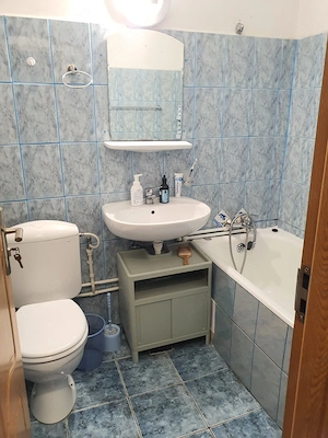 PF Ap. 1 cam. Podul de Fier - imagine 3