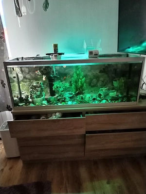 Acvariu peștii cu tot ce se vede - imagine 5