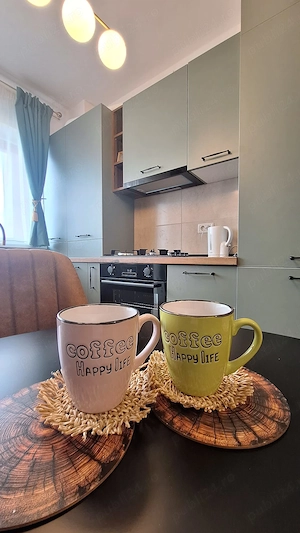 Studio la prima inchiriere 450 E - imagine 2