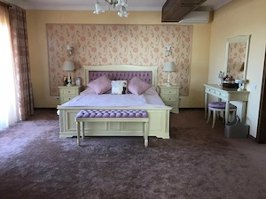 Vila exclusivista in Balotesti - imagine 6