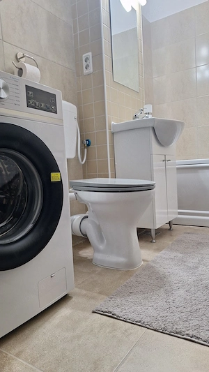 Studio la prima inchiriere 450 E - imagine 11