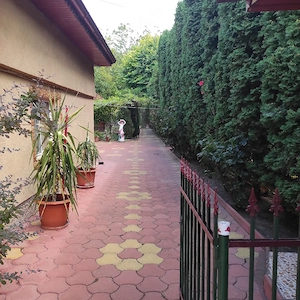 casă mobilată  - imagine 13