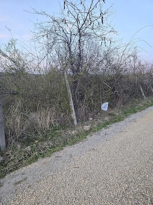 Vand teren Zona Colinelor-Raspantiilor, 1000 mp , cu utilitati, si gaz - imagine 4