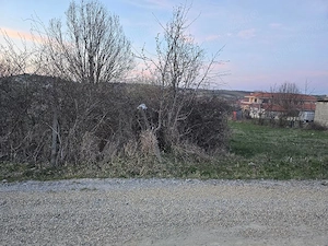 Vand teren Zona Colinelor-Raspantiilor, 1000 mp , cu utilitati, si gaz - imagine 9