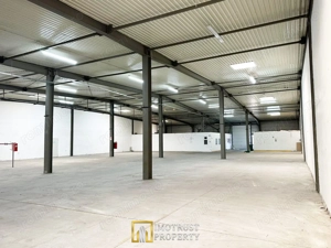 Hala de inchiriat Arad – 1.135 mp pentru comert, servicii - imagine 4