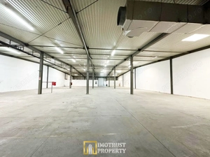 Hala de inchiriat Arad – 1.135 mp pentru comert, servicii - imagine 2