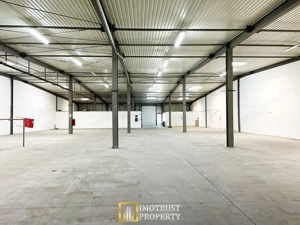 Hala de inchiriat Arad – 1.135 mp pentru comert, servicii - imagine 3