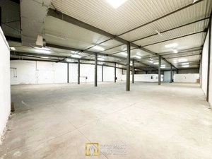 Hala de inchiriat Arad – 1.135 mp pentru comert, servicii - imagine 8