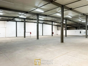Hala de inchiriat Arad – 1.135 mp pentru comert, servicii - imagine 7