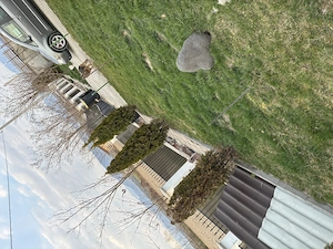 Vand casa, Coltau (8 km de Baia Mare) - imagine 6