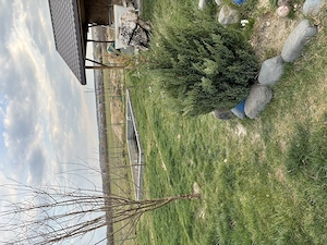 Vand casa, Coltau (8 km de Baia Mare) - imagine 3