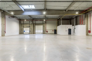 1202 mp - Hala industriala de inchiriat in Parc Industrial Arad - imagine 2