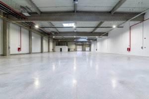 1202 mp - Hala industriala de inchiriat in Parc Industrial Arad - imagine 3