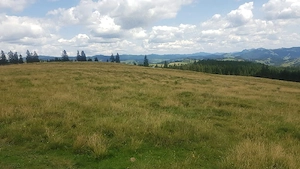 Vand 16 hectare de pasune