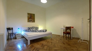 Cazare muncitori Piața Unirii , centru  - imagine 4