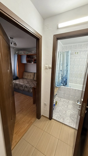Apart 2 camere Luica- Pta Resita, semidec, 64.700 eur neg - imagine 5