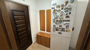 Apart 2 camere Luica- Pta Resita, semidec, 64.700 eur neg - imagine 8