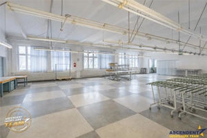 Apreciabil ansamblu:industrial+productie+ birouri+6.322mp teren,Bretcu,Covasna - imagine 2