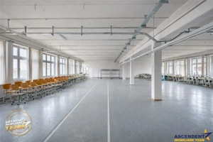 Apreciabil ansamblu:industrial+productie+ birouri+6.322mp teren,Bretcu,Covasna - imagine 5