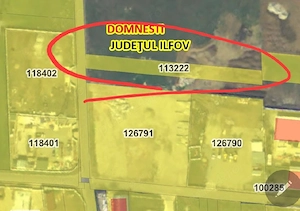 Teren Domnesti Industrial Ilfov str. Bujorului 1250mp - imagine 3