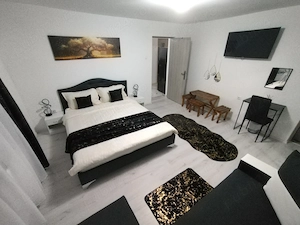 Vand casa de vacanta in Rastolita, recent finalizata - imagine 3