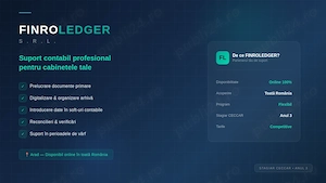 Suport contabil pentru cabinete și contabili experți   Online
