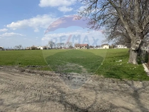 Teren 500 h plus 1000h arenda Vrancea - imagine 7