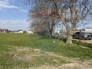 Teren 500 h plus 1000h arenda Vrancea - imagine 8