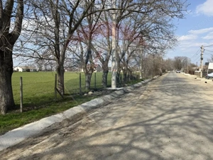 Teren 500 h plus 1000h arenda Vrancea - imagine 9