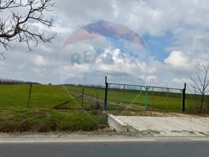 Teren extravilan Săcele ideal pentru silozuri, fermă sau investiție - imagine 8