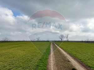 Teren extravilan Săcele ideal pentru silozuri, fermă sau investiție - imagine 4