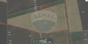 Teren extravilan Săcele ideal pentru silozuri, fermă sau investiție - imagine 5