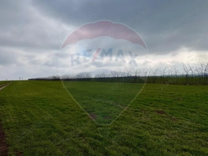 Teren extravilan Săcele ideal pentru silozuri, fermă sau investiție - imagine 9