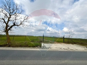 Teren extravilan Săcele ideal pentru silozuri, fermă sau investiție - imagine 11