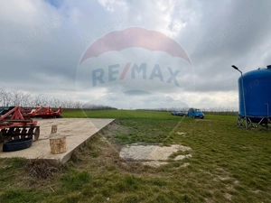 Teren extravilan Săcele ideal pentru silozuri, fermă sau investiție - imagine 12