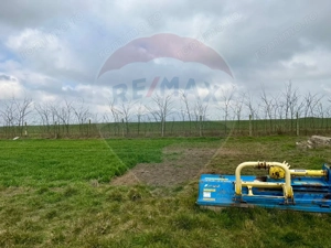 Teren extravilan Săcele ideal pentru silozuri, fermă sau investiție - imagine 14