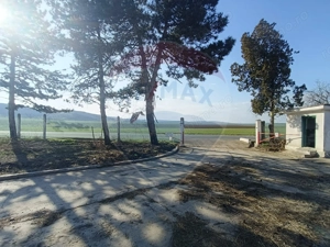 Spațiu industrial de 5,000mp de vânzare TULCEA 24.000MP intravilan - imagine 11