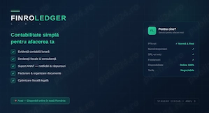 Ai un PFA, o microintreprindere sau un SRL mic?