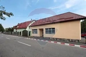 Vilă cu 8 camere de vânzare si spatiu comercial