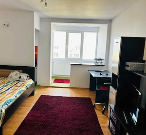 CI639 Take Ionescu,1 camera,Renovat - imagine 2