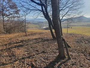 bună ziua efectuam curățări terenuri de orice fel la nr 