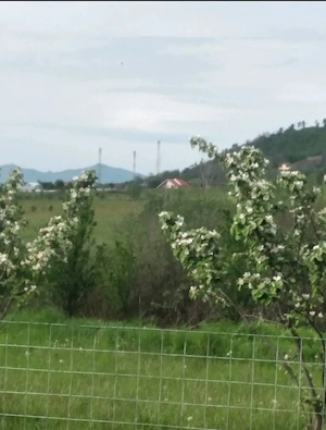 Vând teren în intravilanul orașului - imagine 4
