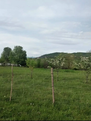 Vând teren în intravilanul orașului - imagine 11