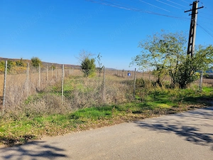 Teren Leordeni Argeș 2363mp  - imagine 5