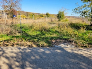 Teren Leordeni Argeș 2363mp  - imagine 2