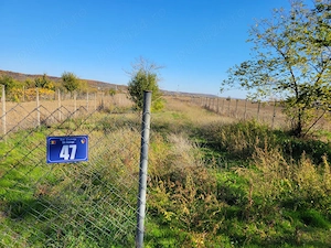 Teren Leordeni Argeș 2363mp  - imagine 3