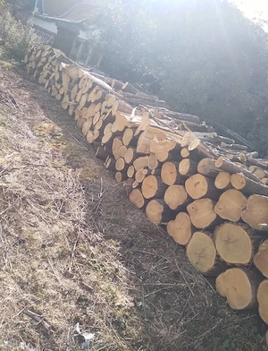 Vand lemne de foc esenta tare carpen si stejar  - imagine 3