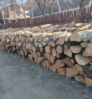 Vand lemne de foc esenta tare carpen si stejar 