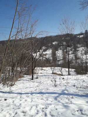 Teren construibil 2.575 m2 Brebu Manastirii