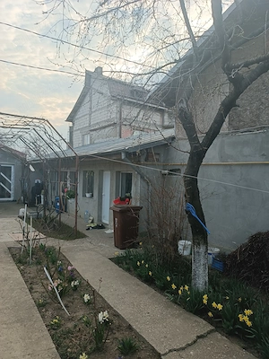 Vând casă Șoseaua Chitilei  - imagine 2